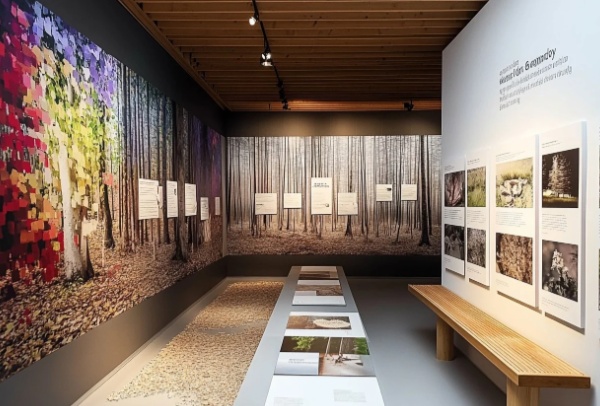 展廳設(shè)計的靈魂密碼：如何精準(zhǔn)提煉核心元素？