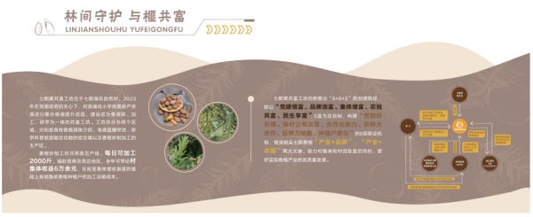 七都果共富工坊展廳設計